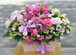 Giaohoatannoi247.com Chuyên sỉ lẻ hoa tươi toàn quốc