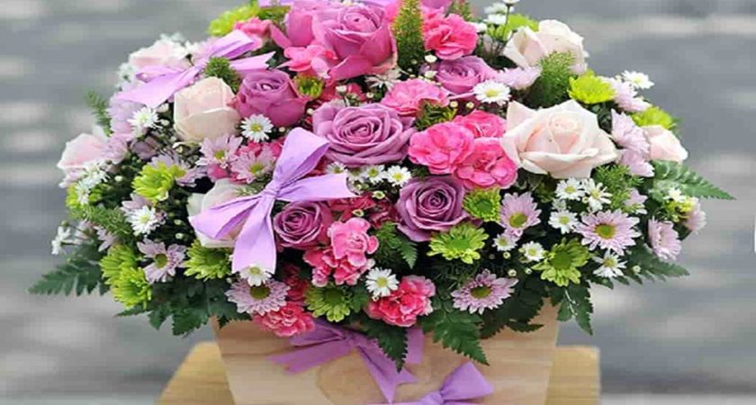 Giaohoatannoi247.com Chuyên sỉ lẻ hoa tươi toàn quốc