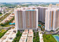 Chủ đầu tư dự án The Venica là ai? Thông tin chính thức