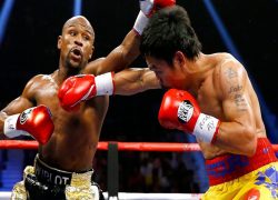 Hướng dẫn chơi boxing cơ bản cho người mới bắt đầu