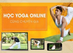 Những khóa học Yoga online tốt nhất cho người mới